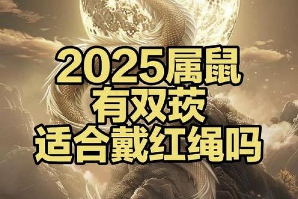 1984年属鼠的人2024年龙年运势详解完整版