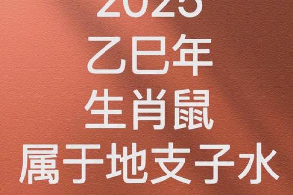 1972年出生的女鼠人今年健康运程与得把眼睛擦亮了分析