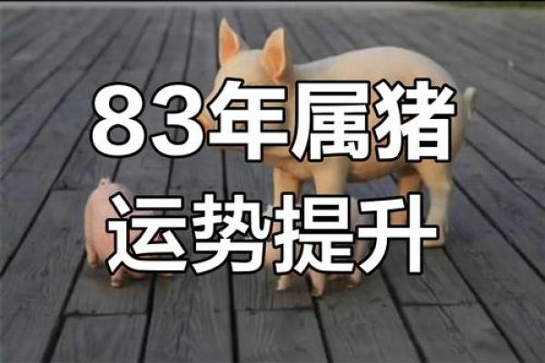 1983年属猪人的命运 1983年是苦命猪还是富猪