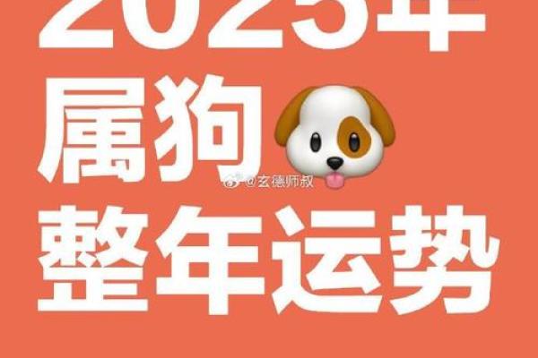 1982年属狗男2025年运势详解全年运程完整版