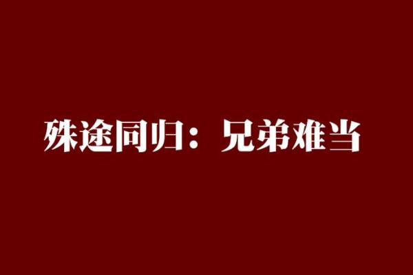 殊途同归打一生肖(殊途同归的出处)