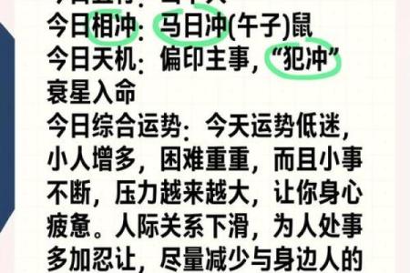 什么属相不能狗 什么生肖不适合,养不好会损害主人运势