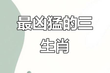 贪婪成性的生肖(贪婪成性的生肖是那几肖)