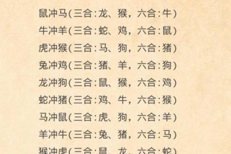 属相合不合对照表 生肖3合6合3冲6害