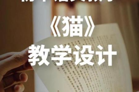‌见异思迁打一生肖 → 猫‌（猫逐新蝶，心随境迁）