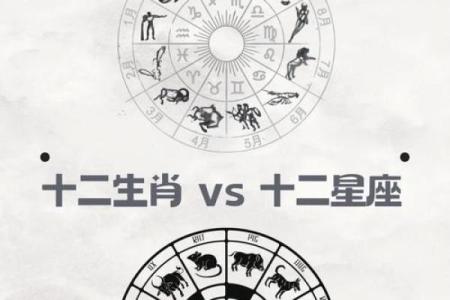 在中华文化里，哪个生肖代表华而不实、虚有其表的象征意义？