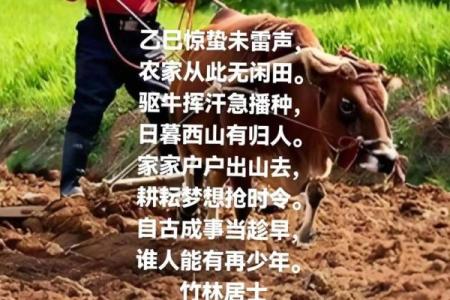 ‌一劳永逸打一生肖 → 牛‌（牛耕一季，五谷常盈）