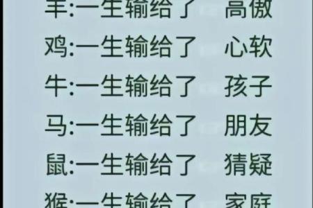 落地生根打一个生肖(落地生根打一个生肖动物)
