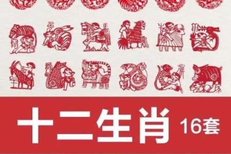 大地万千在十二生肖中代表哪个动物，它的寓意和象征是什么？