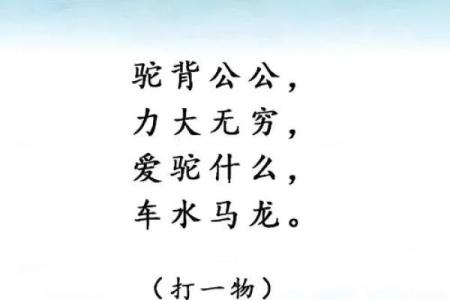 民间谜语引狗入寨”所指生肖的文化渊源和实际应用场景全解