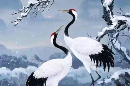 冰天雪地是什么生肖(冰天雪地的是什么生肖)