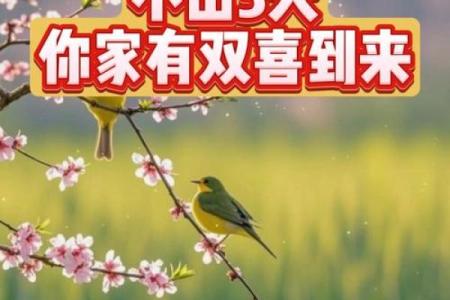 双喜临门喜到家是什么生肖