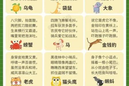 过耳秋风指的是什么生肖？谜语解析与正确答案大揭秘