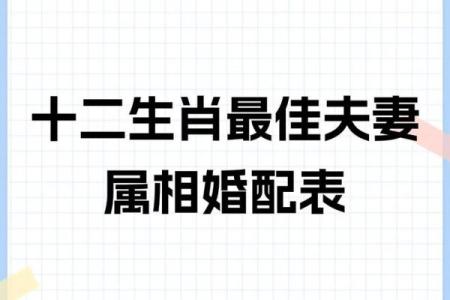 1995属什么生肖最佳婚配 1995属相配什么属相