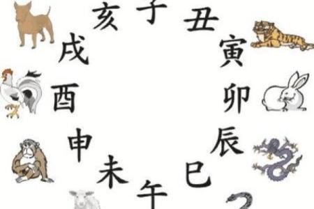 玉石文化爱好者必看：成语玉石俱焚”究竟暗指哪个生肖动物？