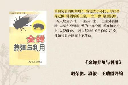 金蝉脱壳打一最佳动物 金蝉脱壳一打一准确生肖