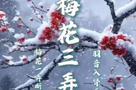 ‌梅花三弄是什么生肖 → 牛（牛踏梅雪，三弄寒香）‌