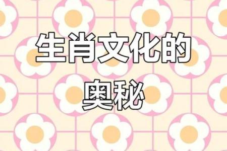 想了解包罗万象所代表的生肖含义及其背后的文化故事解析