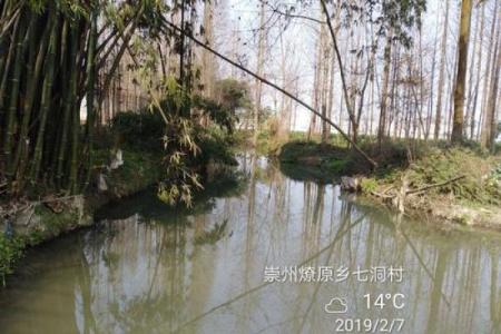 小桥流水是什么生肖(小桥流水是什么生肖动物)