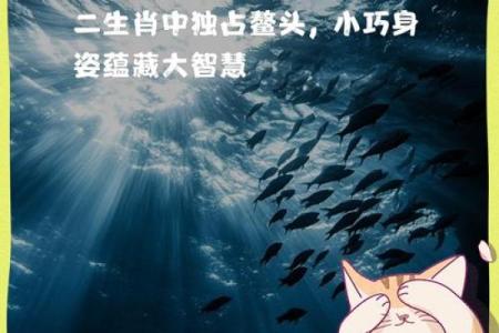 独占鳌头的三大生肖 独占鳌头形容什么生肖