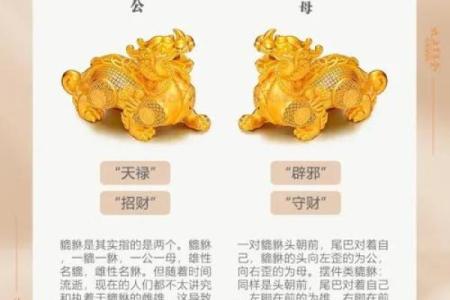 貔貅属什么 貔貅属什么五行