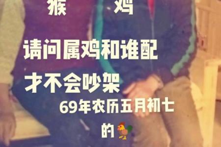 93年鸡跟96年属合不合 93年的鸡和96的鼠相配吗