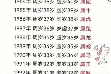 26岁属啥的哪年出生的 26岁那年的属什么