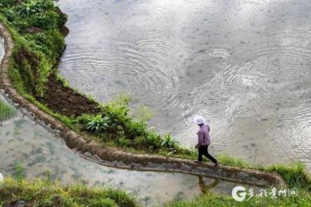 ‌天罗地网把你捉打一生肖：‌ 鼠