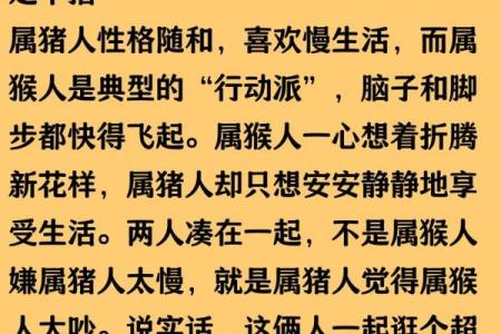 04属猴男最佳婚配属相 属猴男最佳婚配属相属猪女行吗