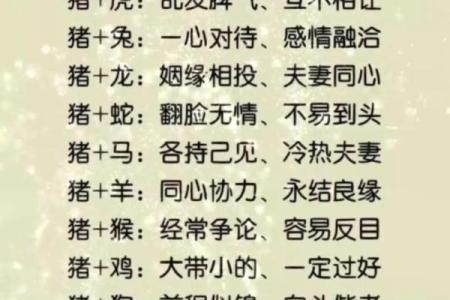 各不相下打一生肖