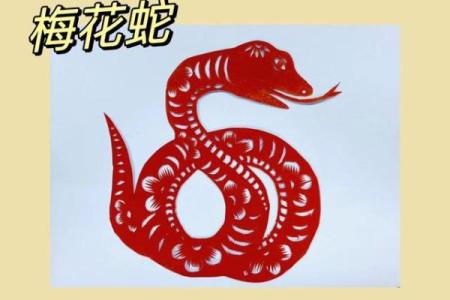 梅花的三大生肖 梅花有哪些生肖