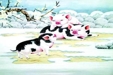 临危不惧打一正确生肖(临危不惧打一正确生肖)