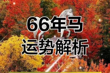 1966年属马2015年运势及运程 1966年属马2015年运势及运程每月运程...