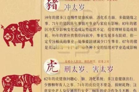 中国传统文化中丹顶曲项”代表什么生肖？详细解读其象征意义