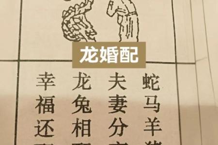 怎么算属相 怎么算属相
