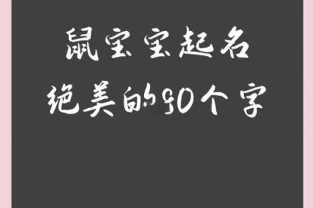 2008年属鼠的孩子五行缺什么，如何通过取名来补全