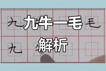 ‌九牛一毛打一生肖 → 牛‌（九牛同牧，一毛何轻）