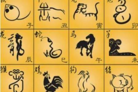一生只以食为天指的是哪个生肖动物呢？