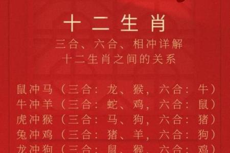 易放难收是什么生肖 易放难收打一个生肖动物