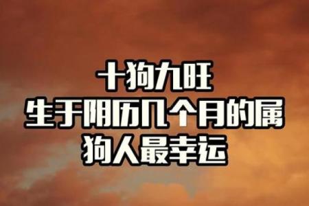 属狗女几月出生最旺夫 属狗女几月生是劳碌命