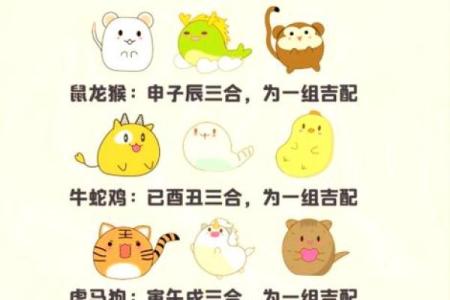 老虎跟兔子属相合不合 老虎兔子属相合不合财