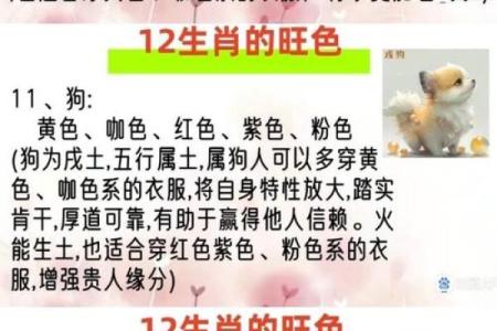 十二生肖中哪个生肖最好 十二生肖中哪个生肖最好斗