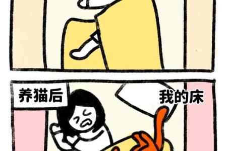为什么说养猫不吉利 为什么说养猫不