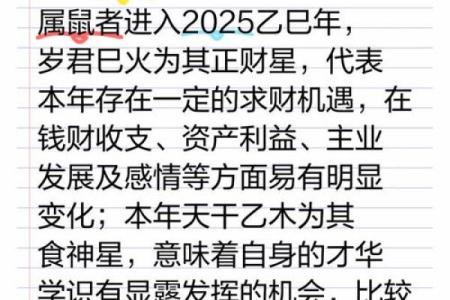 属鼠的人在2025蛇年整体运势如何？财运和事业会有突破吗？