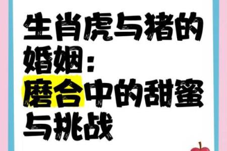 老虎与猪的属相合不合 老虎与猪生肖合不合