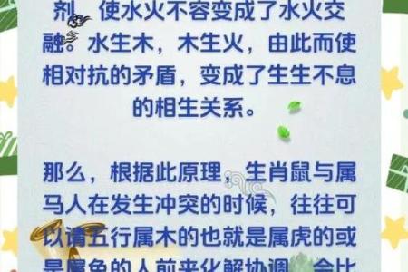 男狗女鼠属相合不合 94狗男和96鼠女水火不容吗