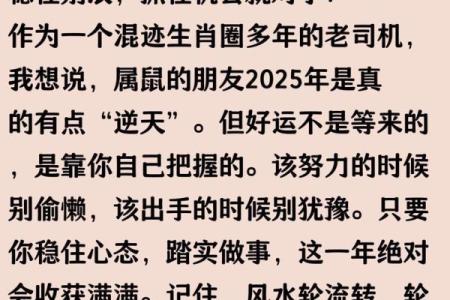 属鼠人2025年运势完整版查询事业财运健康感情全面分析