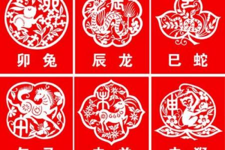 属鸡在龙年2024运气 属鸡的龙年运程每月运势