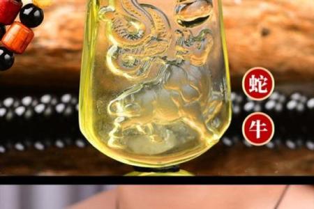 属牛和属鸡的合不合财运 属牛和鸡属相合不合财