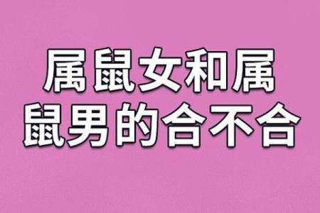 鸡女和鼠男的属相合不合婚姻 鸡女跟鼠男合不合